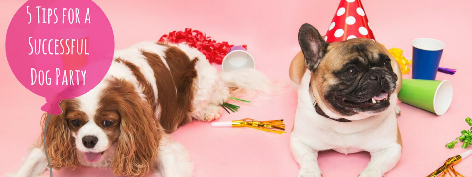 Dog-Party-Blog-Header.jpg