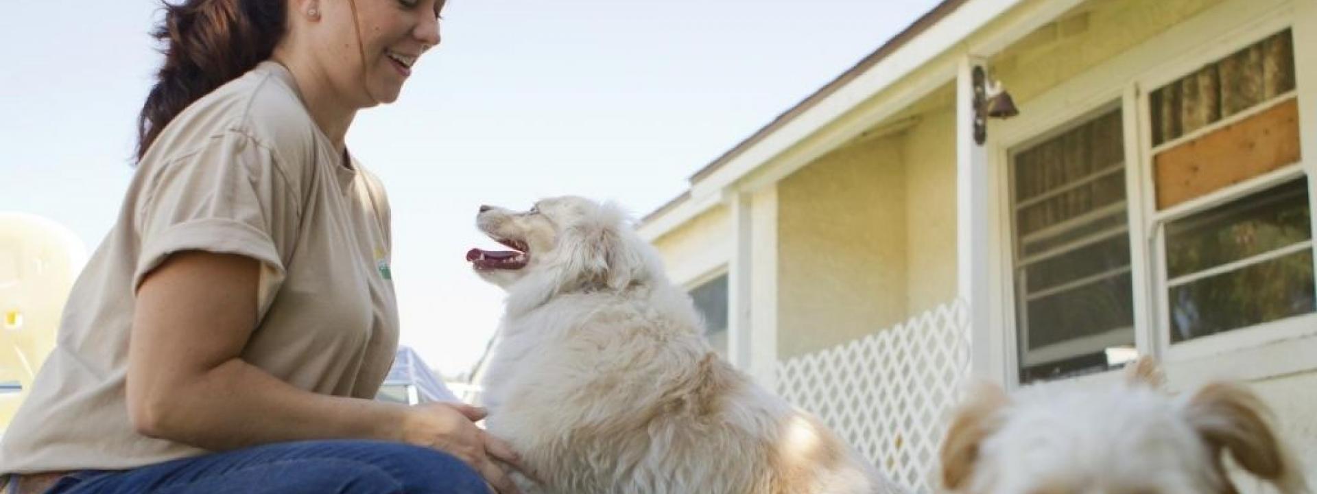 dog-boarding.jpg