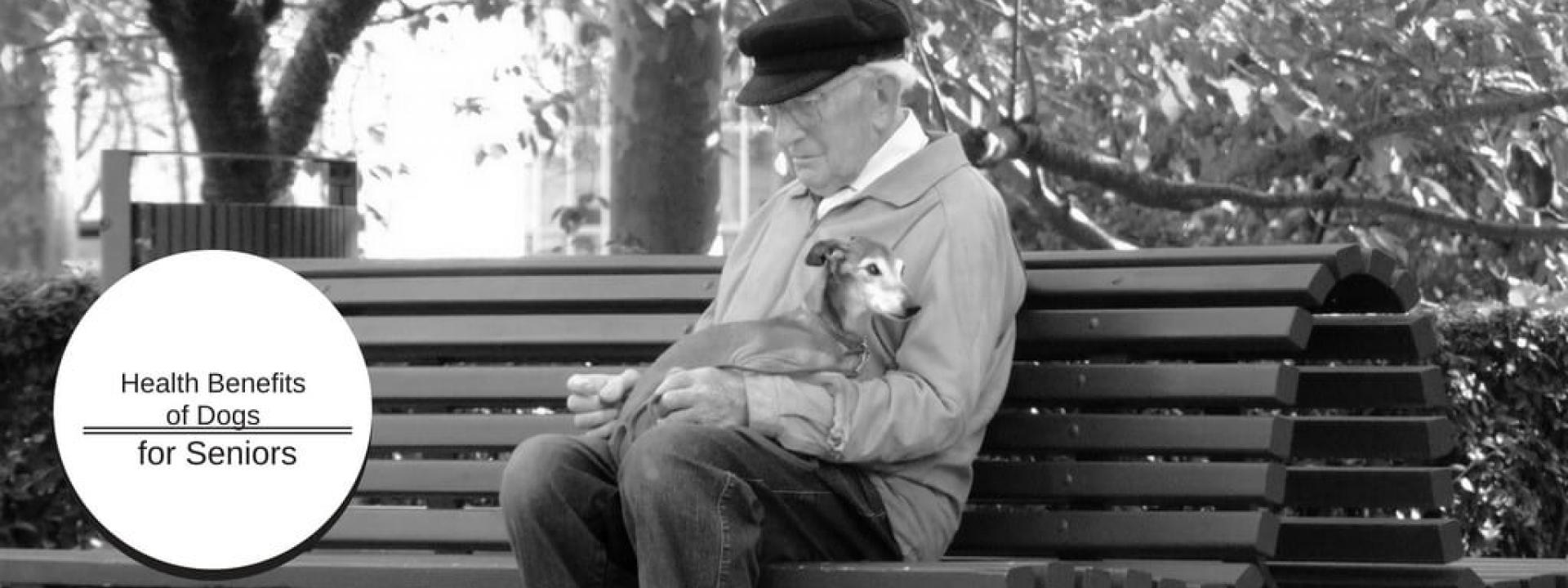 dogs-for-seniors-Blog-Header.jpg