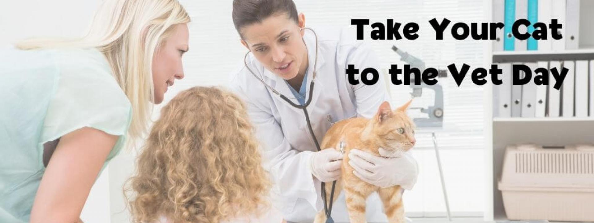 take-cat-to-vet-day-blog-header.jpg