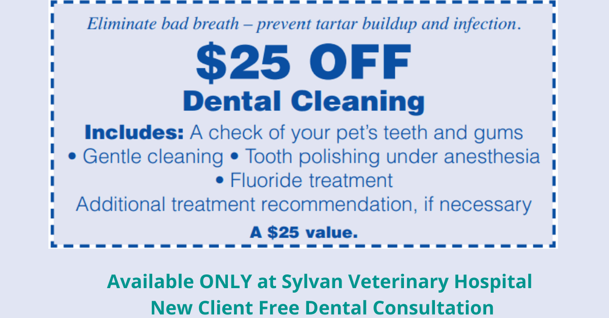 sylvan-dental-promo